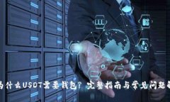 : 为什么USDT需要钱包? 完整
