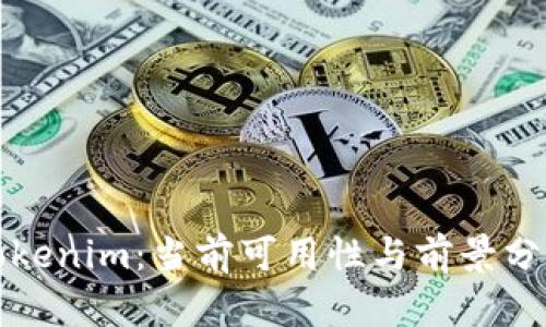 Tokenim：当前可用性与前景分析