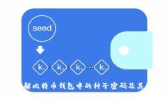 如何理解比特币钱包中的