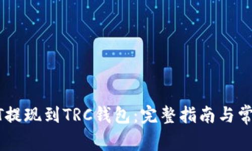 如何将USDT提现到TRC钱包：完整指南与常见问题解答
