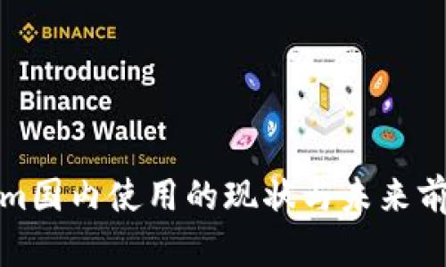 Tokenim国内使用的现状与未来前景分析