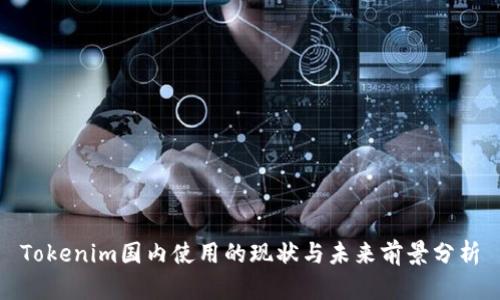 Tokenim国内使用的现状与未来前景分析