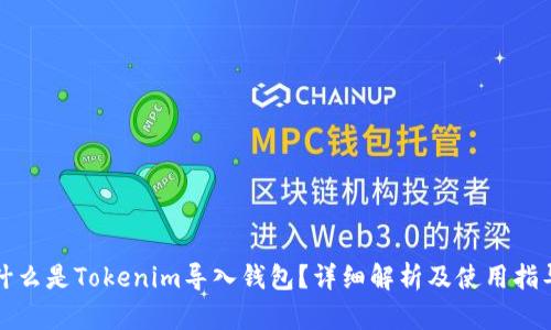 什么是Tokenim导入钱包？详细解析及使用指导
