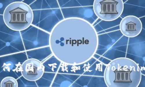 全面解析：如何在国内下载和使用Tokenim 2.0苹果版