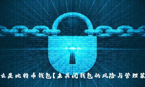 什么是比特币钱包？未关闭钱包的风险与管理策略