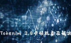 解析Tokenim 2.0卡顿现象及解